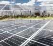 EnBW-Solarpark Görlsdorf: Nachhaltige Energieversorgung mit langfristigen (Foto: Paul Langrock /EnBW)