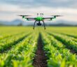 Nachhaltige Energiegewinnung durch Precision Farming (Foto: AdobeStock - 913576282 Pachara)